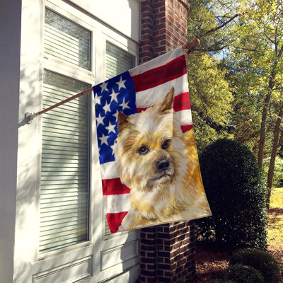 Shahnur Double Sided 40'' H x 28'' W Polyester Independence Day House Flag