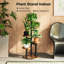 Plant Stand