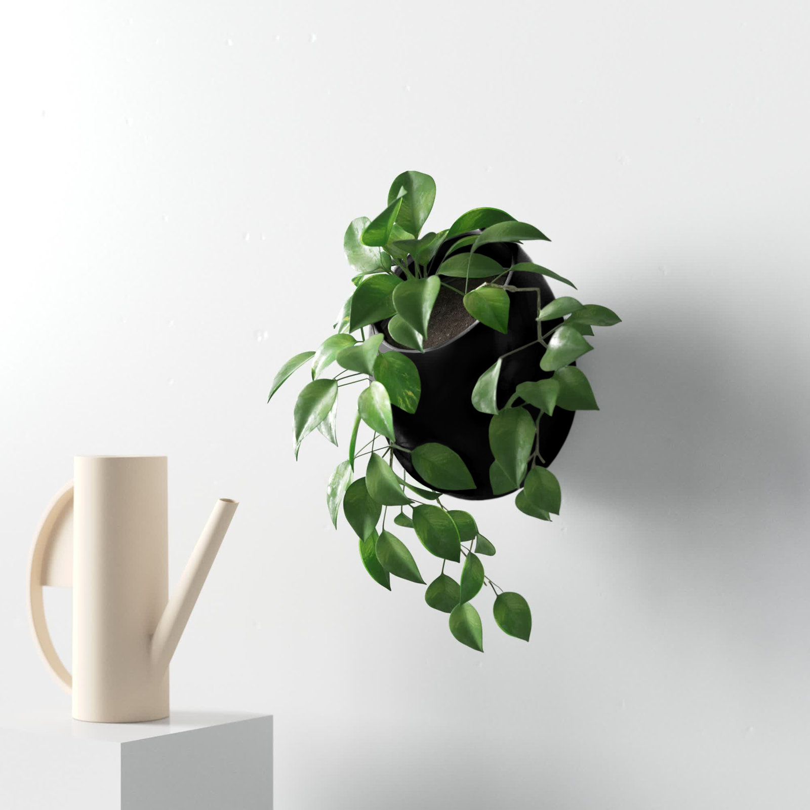 Hilaria Ceramic Wall Planter, Glossy Black, 6.5'' H x 5.5'' W x 5" D