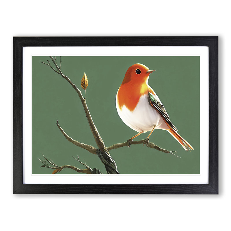 Elegant Robin Bird - Single Picture Frame Painting, 25cm H x 34cm W x 2cm D, Black