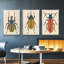 Collection Antique Coral VII - 3 pièces, reproduction d'art sur toile-97759223-97759229