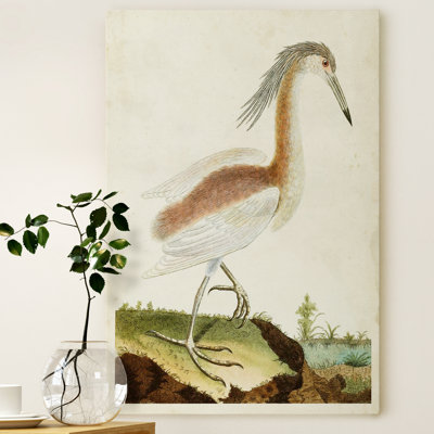 " Heron Portrait III "