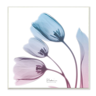«Opaque Tulip Silhouette» par Albert Koetsier - reproduction d'art