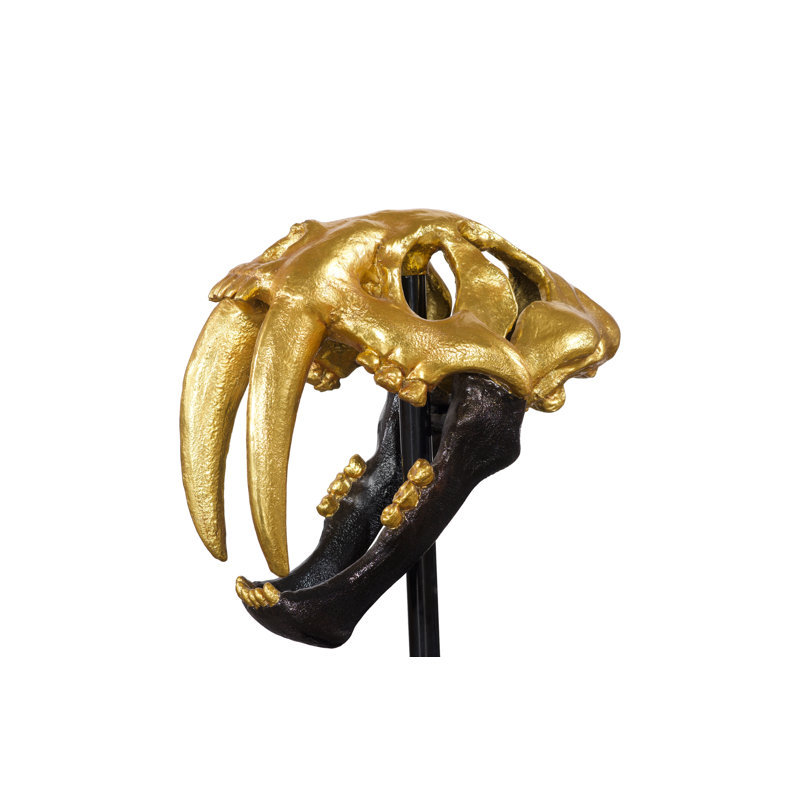 Tooth Tiger Skull, Black/Gold