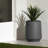 Dalya Pot Planter-86901335-86901339