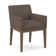 Upholstered Arm Chair