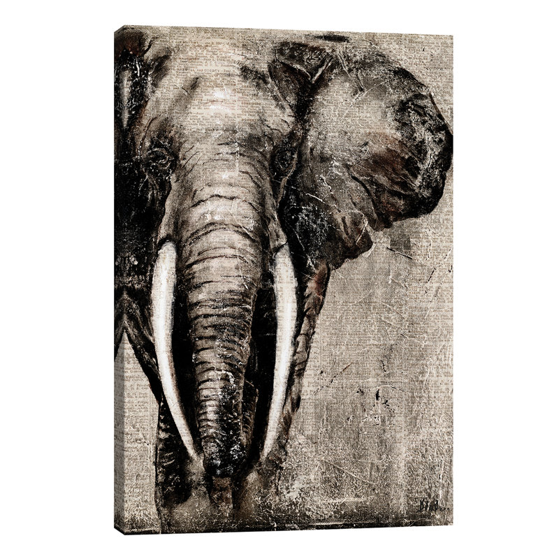 Elephant On Newspaper by Patricia Pinto - Wrapped Canvas Print, 66.04 cm H x 45.72 cm W x 1.91 cm D