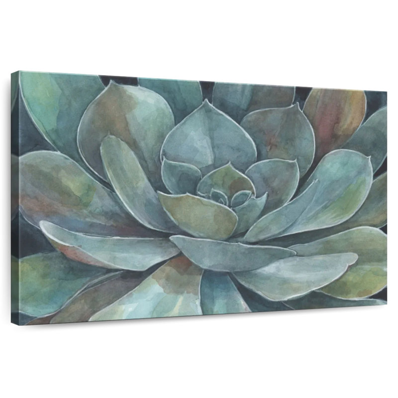 Harnek Rustic Succulent, 34" H x 51" W