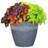 Milahn Resin Round Pot Planter-742003962-742003963