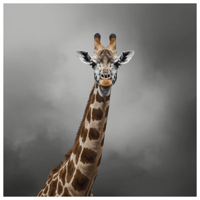 Giraffe With Long Neck Bedding Giraffe Bedspread Animal