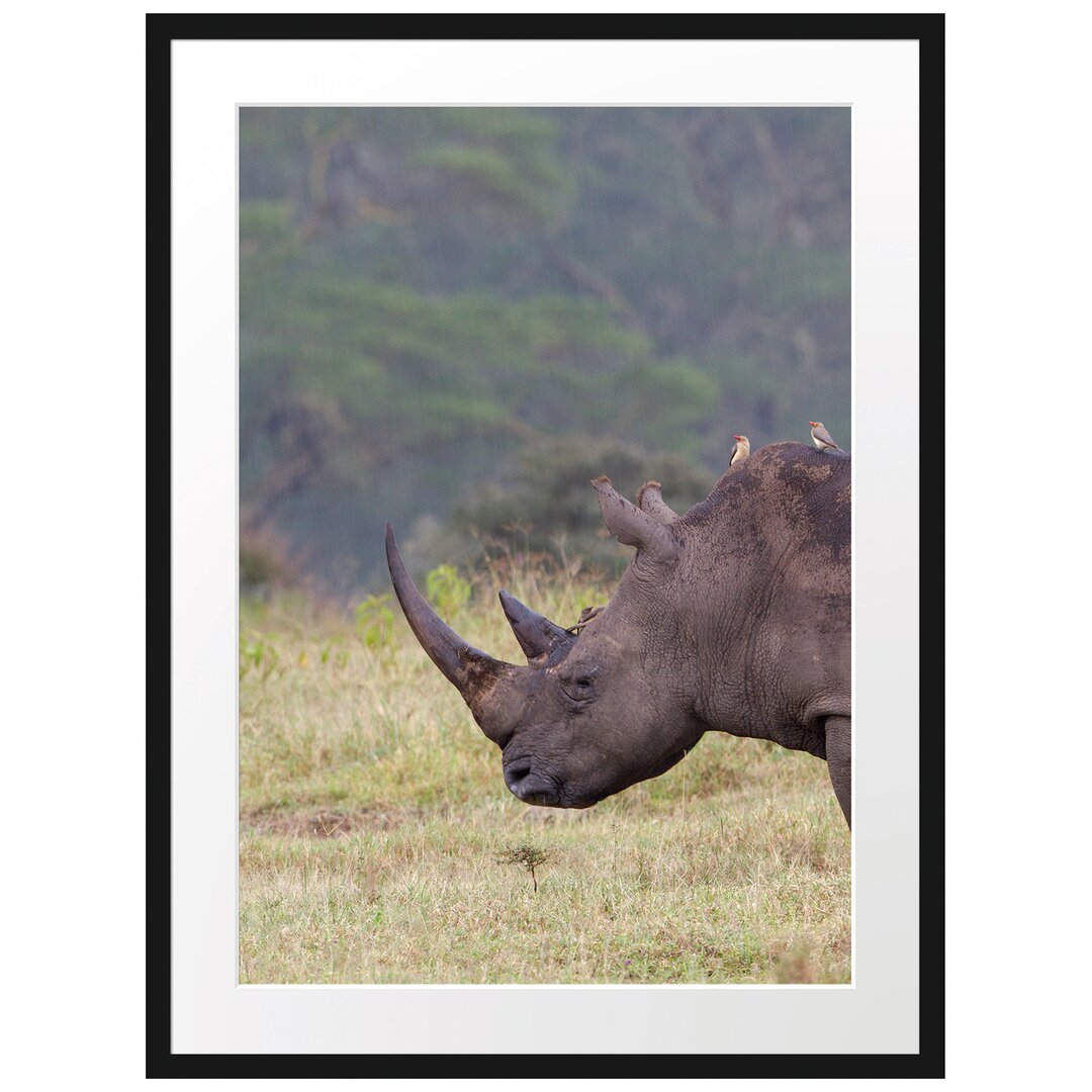 Großes Nashorn in der Savanne Gerahmter Fotokunstdruck