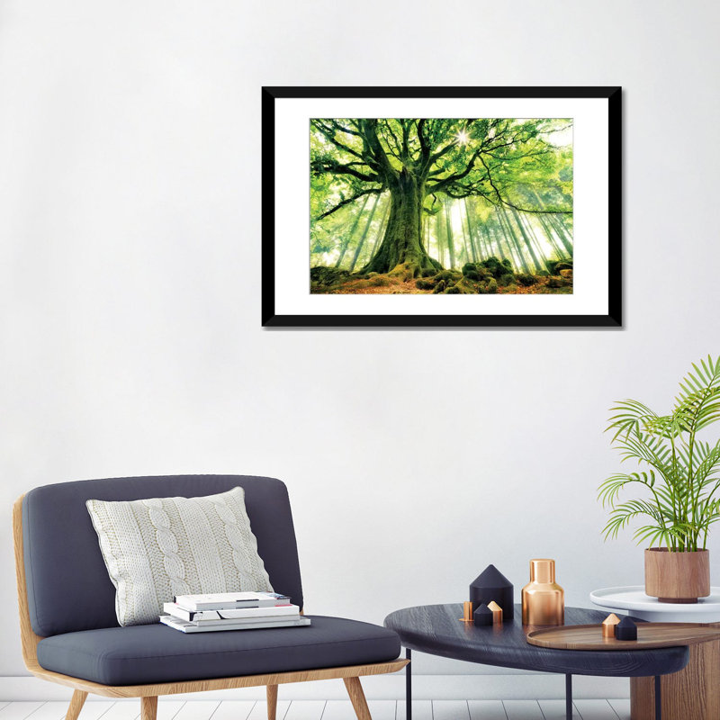 " Ponthus' Beech " by Christophe Kiciak, 16" H x 24" W x 1" D, Black Framed Fine Art Paper, White