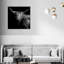 Realistic Black And White Highland Cow Photography Print by Oliver Gal-69850863-69850862