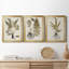 Fern Botanical IV - Ensemble de 3 peintures sur toile encadrées-131489272-131489273