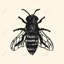 «Bee», art mural sur toile | Décoration encadrée industrielle noire
