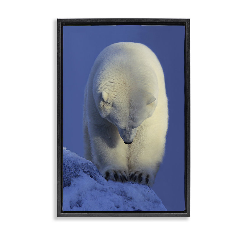 Toile flottante encadrée «Contemplation» par Shane Lamb, Cadre flottant noir de jais, H 25 po x l 17 po