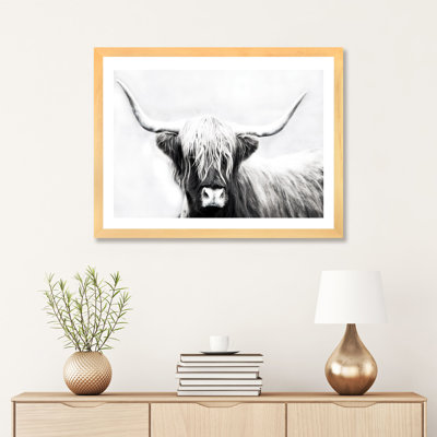 " Highland Longhorn " by Danita Delimont