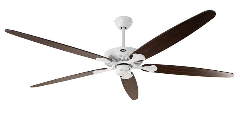 Boutwell 180cm Ceiling Fan, Lacquered White with Antique Oak and Walnut Blades