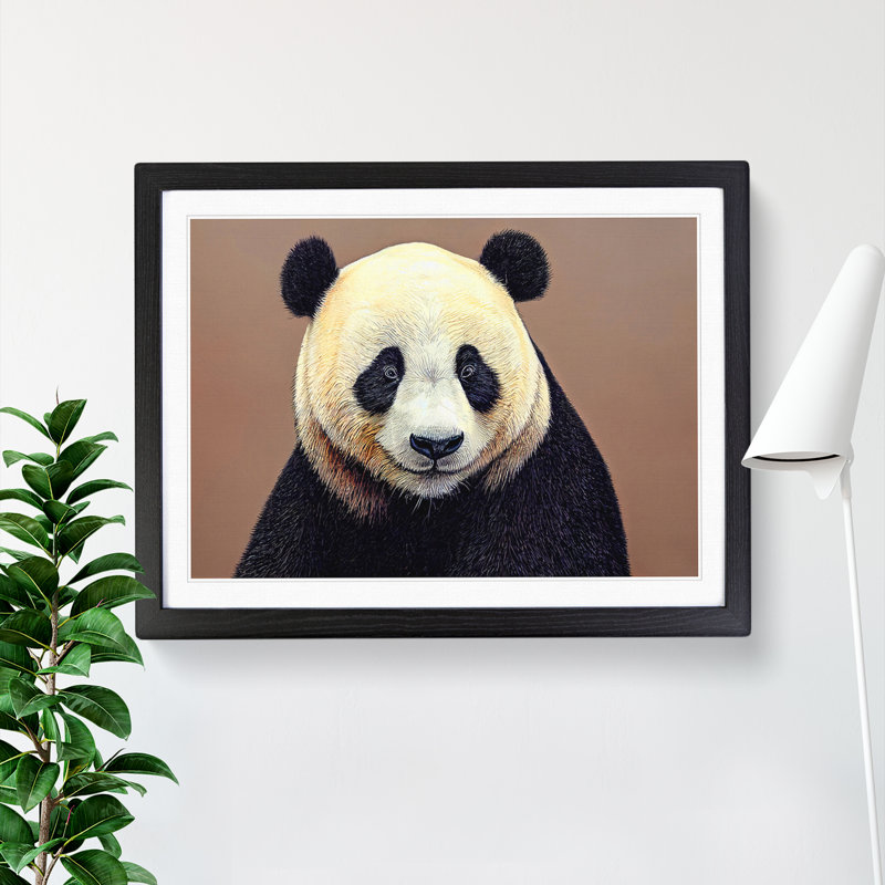 Fascinating Panda - Single Picture Frame Print, Black Framed, 46cm H x 64cm W x 2cm D