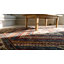 Petit tapis Kuba