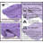 Skak Cotton Bath Rug-1865259475-1865259474