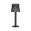 Caymon Solar-Powered Garden Stake Lights