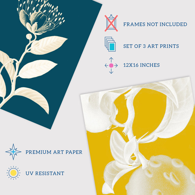 Bold Bright Botanicals Plant Tree Branch Bloom Blue Red Yellow - 3 Piece No Frame Print Set, 40.5cm H x 30.5cm W x 0.3cm D