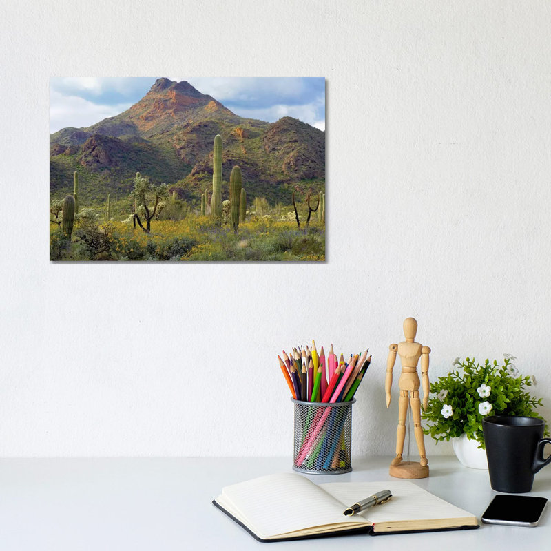 Saguaro and Teddybear Cholla, Arizona Amid Flowering Lupine and California Brittlebush I 1 Piece Wrapped Canvas Wall Art