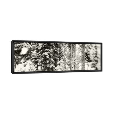 " Snow Covered Evergreen Trees At Stevens PassWashington State, USA " by Panoramic Images