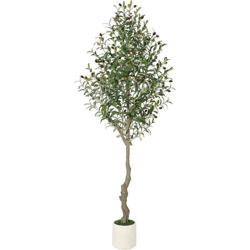 59.06cm Plant, 2