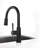 ASCreate Gusteau Pull Down Kitchen Faucet-63504395
