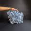 Genuine Blue Ridge Coral (16", 18.5 Lbs)