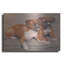 «Two Boxer Dogs» par Janet Pidoux-586514360