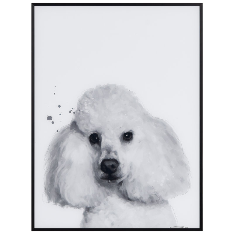 Caniche encadré sur verre