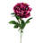 Large Velvet Peony Stem-596566221