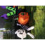 Citrouilles d'Halloween gonflables