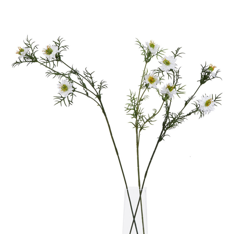 Arrangement, White