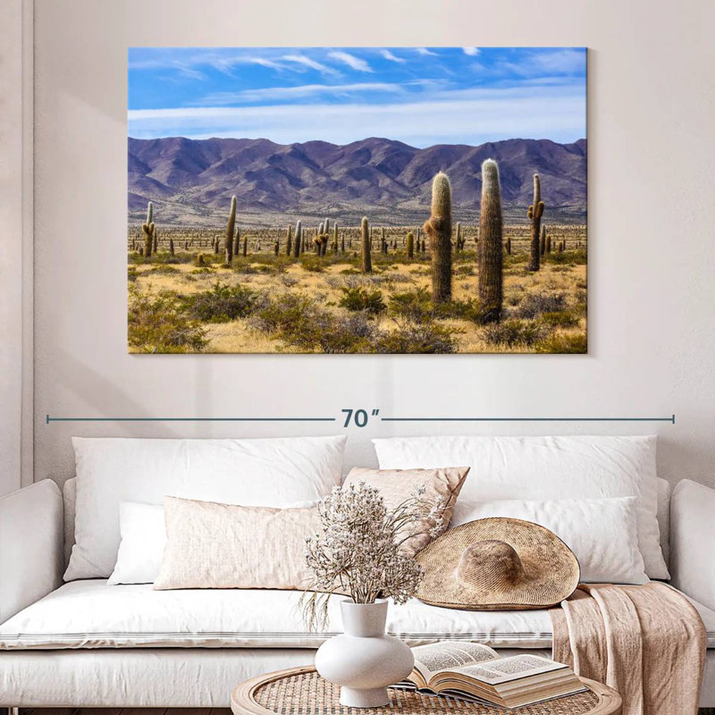 Los Cardones Cactus
