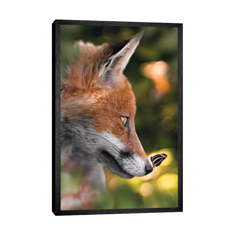 The Fox And Cute Butterfly by Zenja Gammer - Print on Canvas, 66.04 cm H x 45.72 cm W, Black Framed