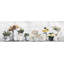 Impression encadrée « indoor succulents »-50107293