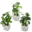 24cm Faux Foliage Plant in Glass Vase