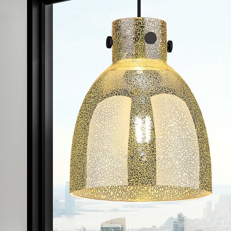 Luminaire suspendu à 1 lumière Badgett, Noir mat