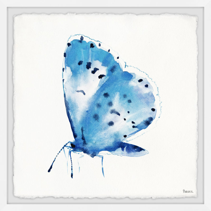 « big blue papillon », impression encadrée, H 12 po x l 12 po x P 1,5 po