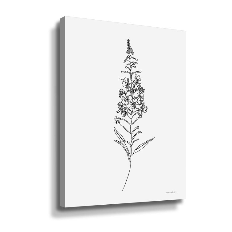 Fireweed Gallery