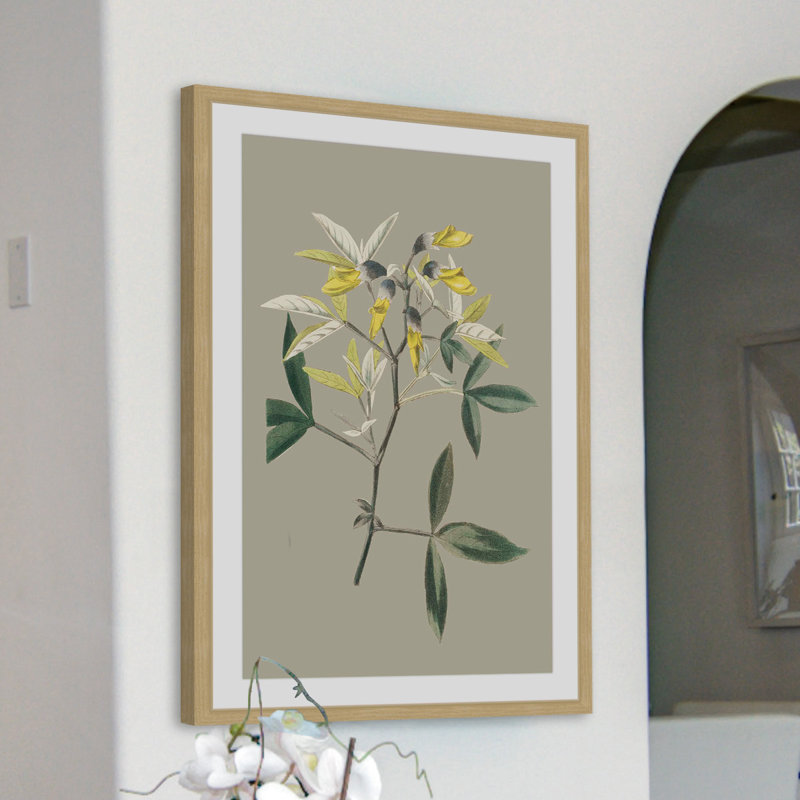 «Botanical Cabinet VI», reproduction encadrée, H 18 po x l 12 po x P 1,5 po