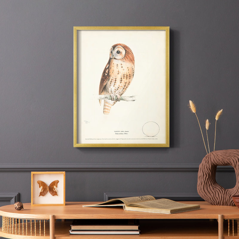 Reproduction encadrée Tawny Owl - bois massif, H 20 po x l 16 po, Or