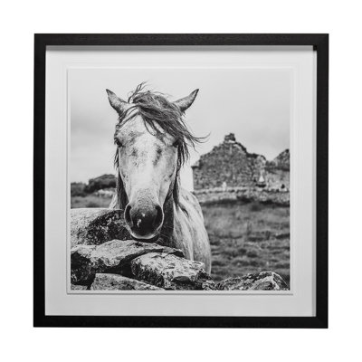 Ireland Black & White by Arabella Studios a Framed Art Print Matted under Glass