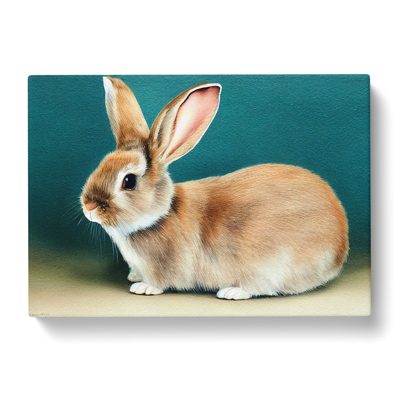 Watercolour Rabbit Vol.2 - Wrapped Canvas, 50cm H x 76cm W x 3cm D