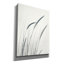  «Field Grasses III» par Debra Van Swearingen, art mural sur toile, 26 po x 34 po-1184631956