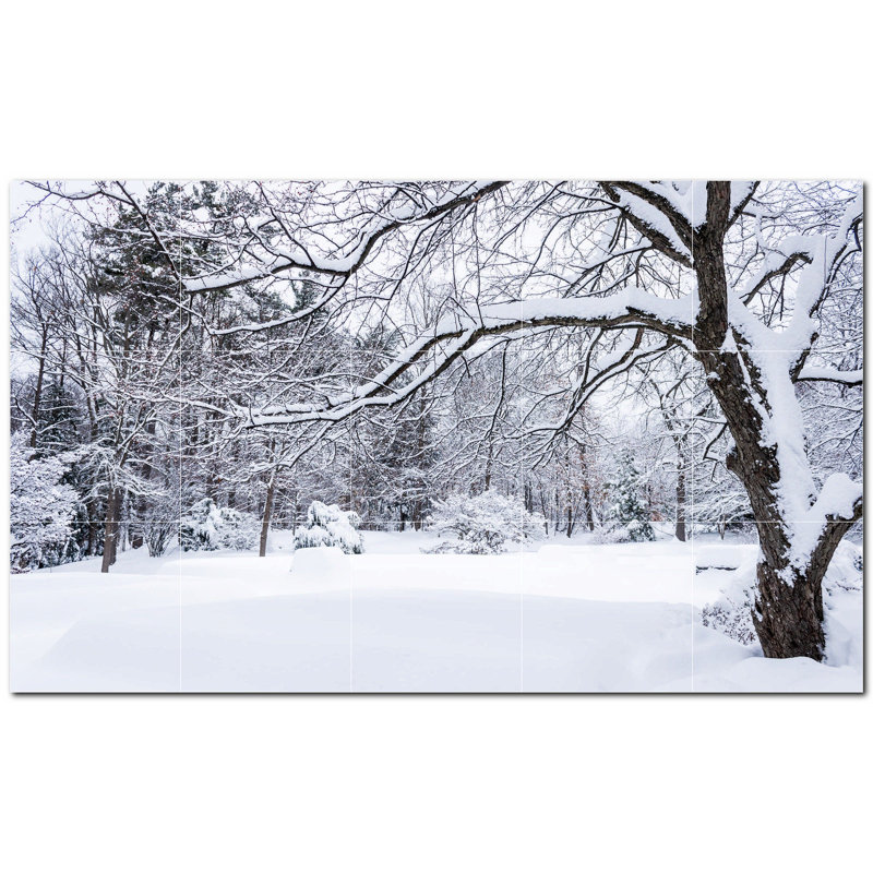 Photo d'hiver 4,25 x 4,25